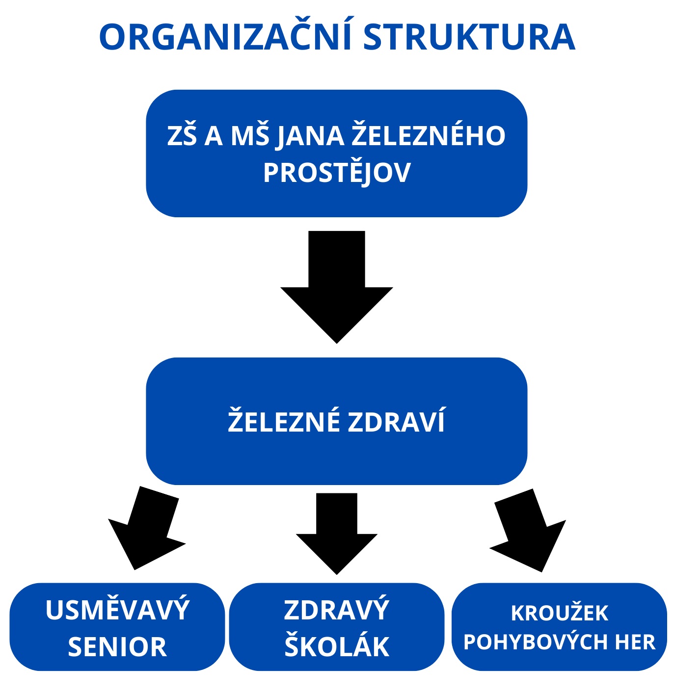 organizace zelezne zdravi